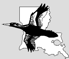 LOS Logo - Ivory-billed Woodpecker